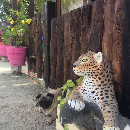 Hotel Hacienda La Catrina Ilha Holbox Exterior foto