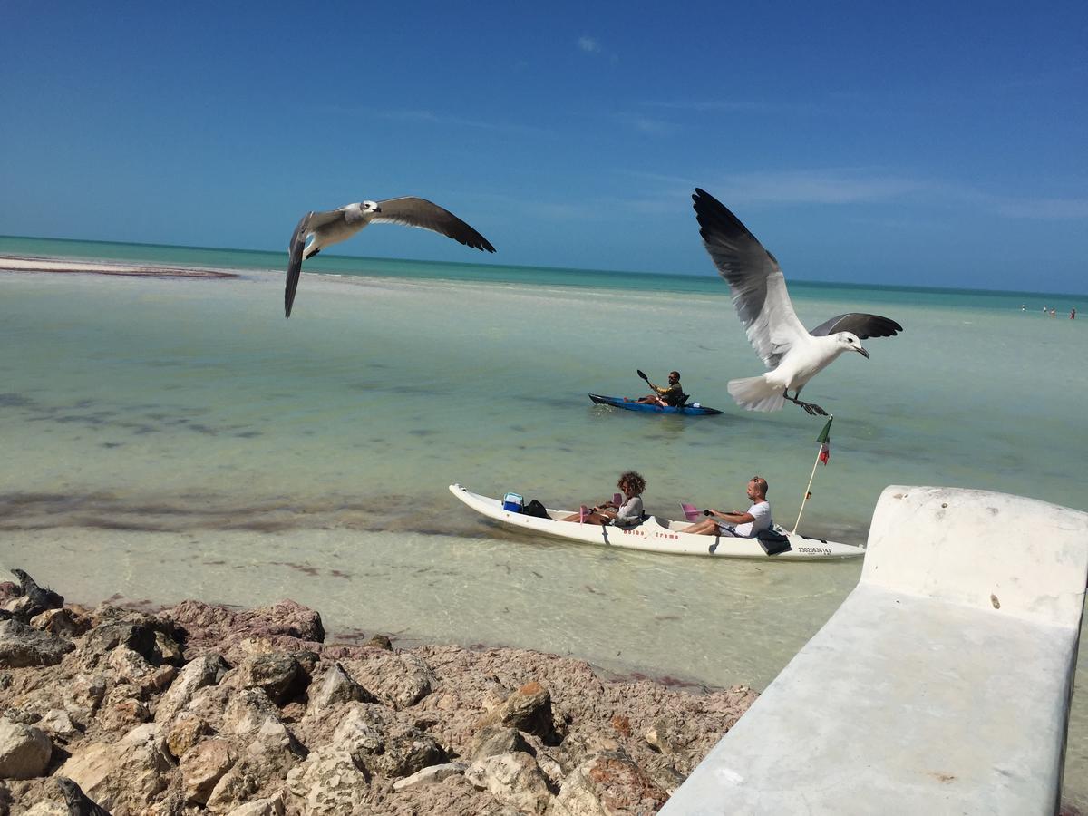 Hotel Hacienda La Catrina Ilha Holbox Exterior foto